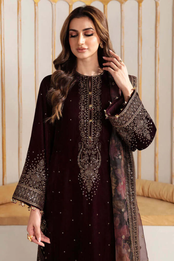 3 Piece Unstitched Heavy Embroidered Velvet Suit with Printed Organza Dupatta - Image 2