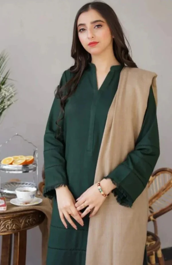 Dhanak Full Embroidered Unstitched 3PC Suit with Digital Printed Pashmina Wool Shawl - Image 2