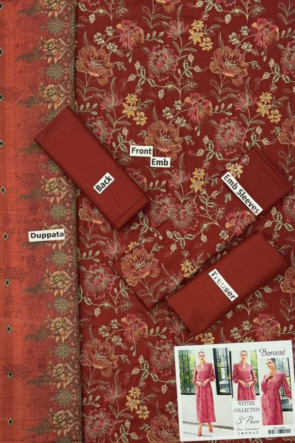 Bareeza - 3PC Dhanak Embroidered Suit with Wool Shawl - Image 11