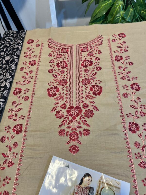 Zara shah 3pc Heavy embdry and Hit article - Image 3